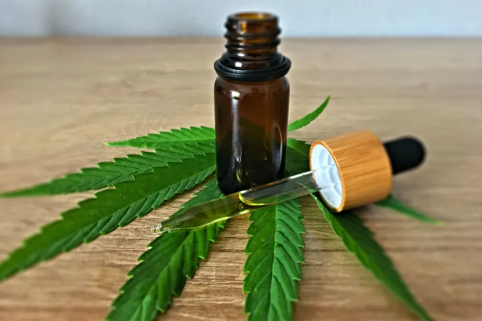 Cannabis medicinal no Brasil: Anvisa atualiza regras em 2026