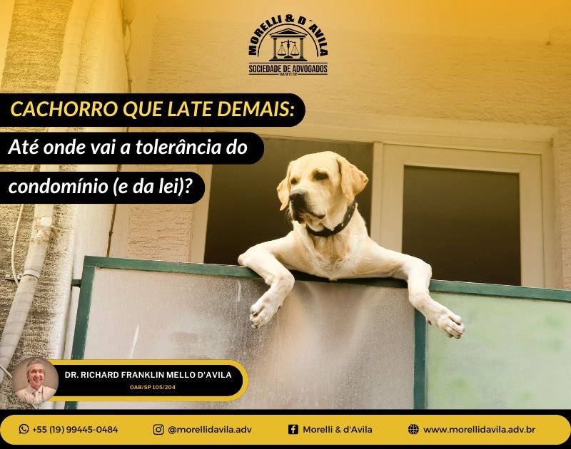 Featured image for “CACHORRO QUE LATE DEMAIS: ATÉ ONDE VAI A TOLERÂNCIA DO CONDOMÍNIO (E DA LEI)”